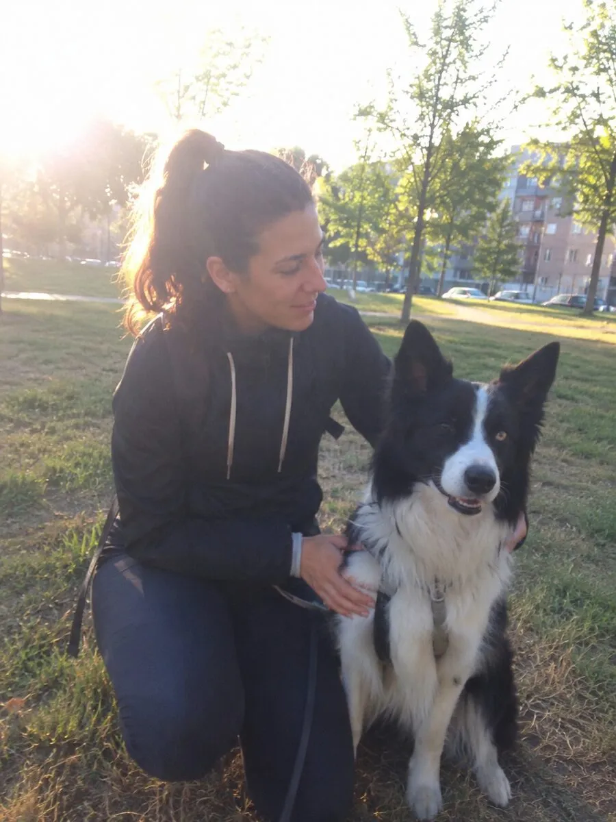 Border Collie, recensione del percorso Fidemy sul richiamo