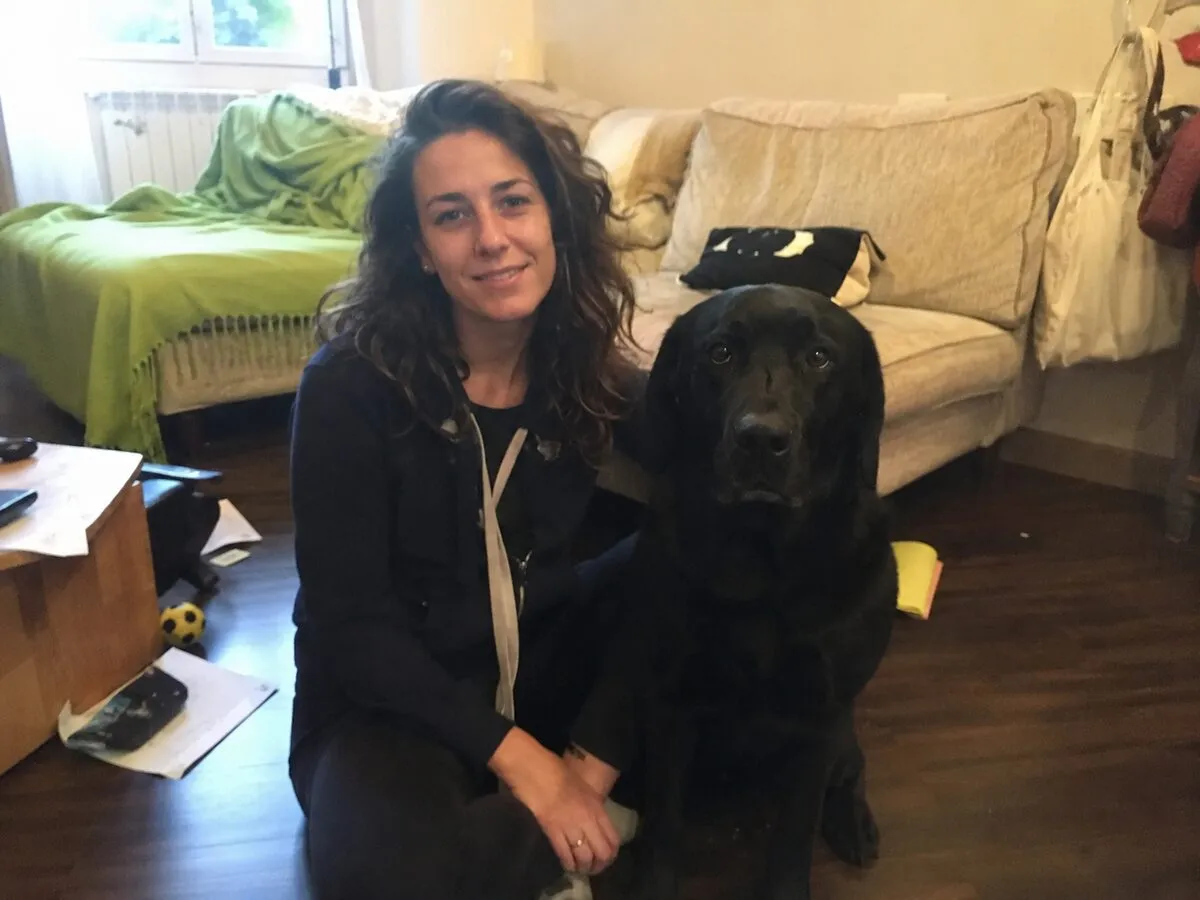 Labrador adulto, recensione del percorso Fidemy sull'ansia da separazione