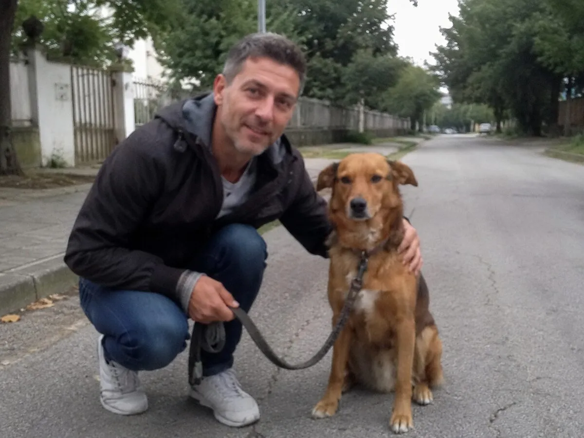 Cane meticcio, recensione del percorso Fidemy per camminare al guinzaglio